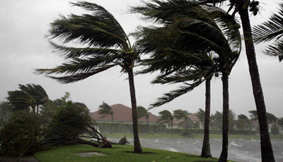 Tampa Tribune: Fair-weather shopper largely ignore storm safety display